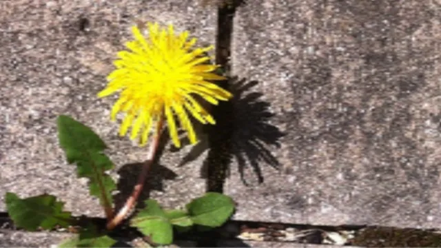 Bild Hiphop 04.26 (Foto: Pixabay) Bild Hiphop 04.26 (Foto: Pixabay)